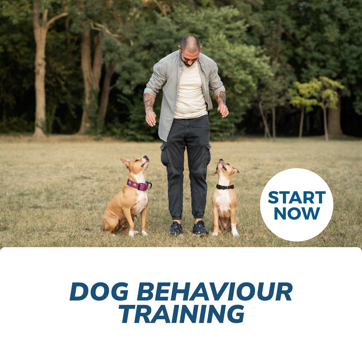 Dog Behavior Training Course Online — Courses For Success