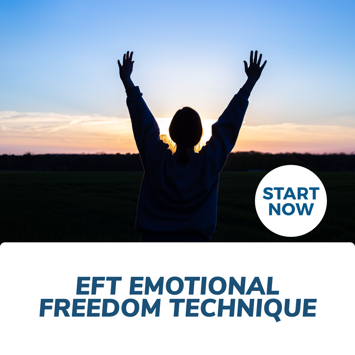 EFT Emotional Freedom Technique Training — Courses For Success