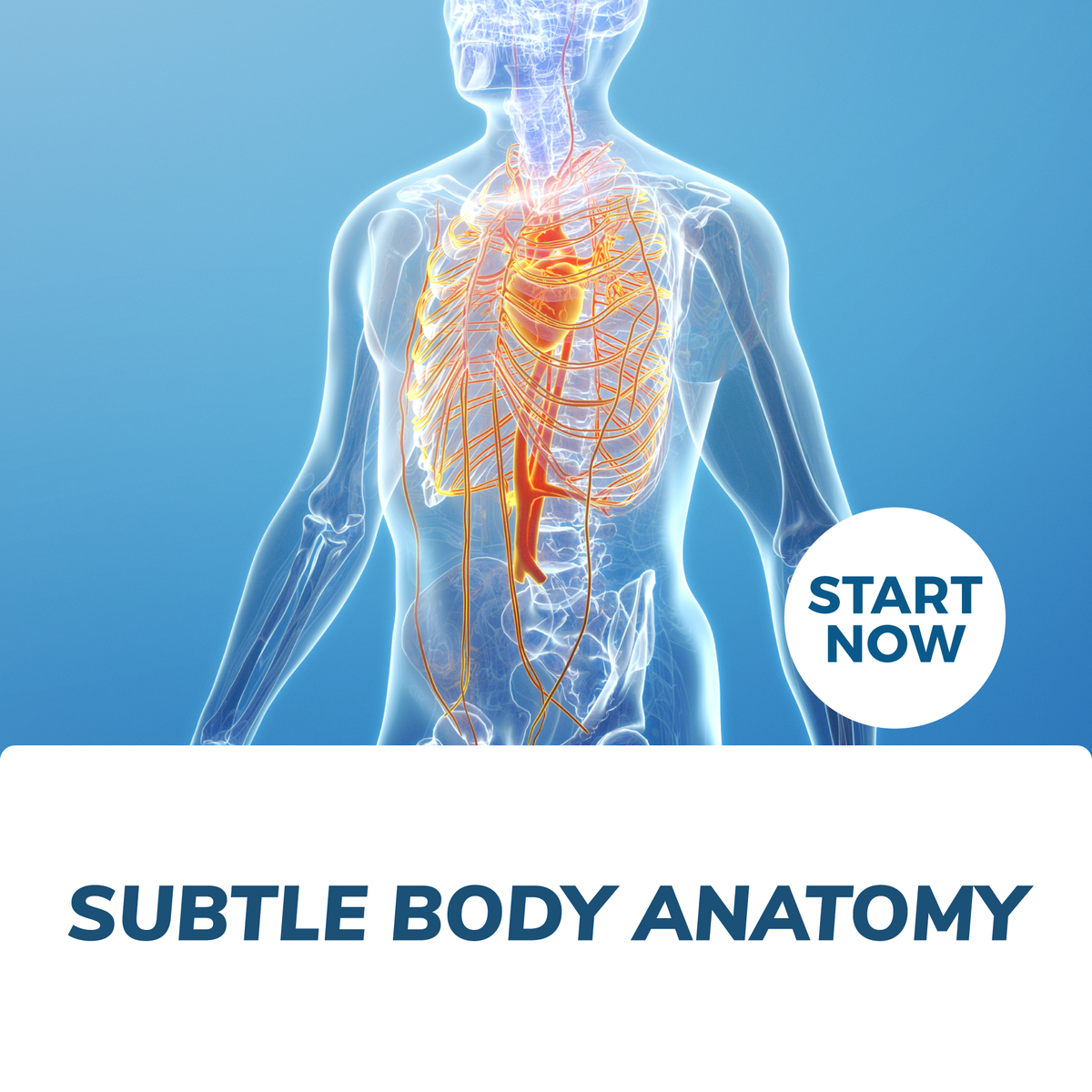 Subtle Body Anatomy Certification Course Online — Courses For Success