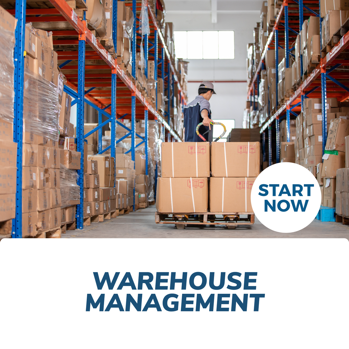 Warehouse Management Certification Training Online Courses For Success